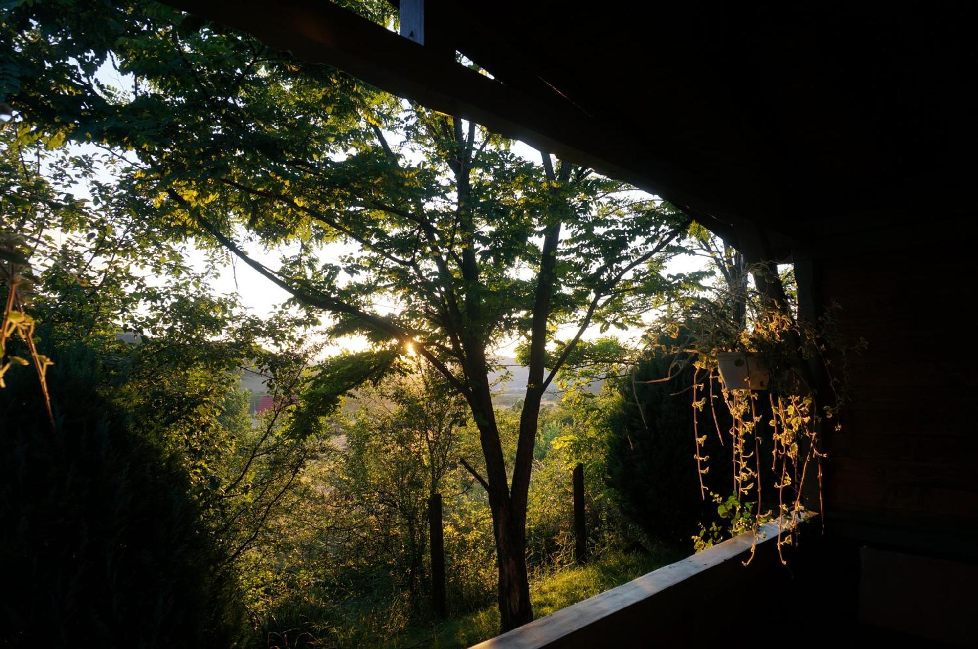 Natura Chalets 프라이드 외부 사진